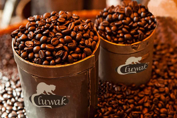 Kopi Luwak
