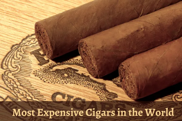 15 Most Expensive Cigars in the World Most Expensive Cigars