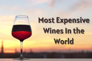 The 15 Most Expensive Wines In the World