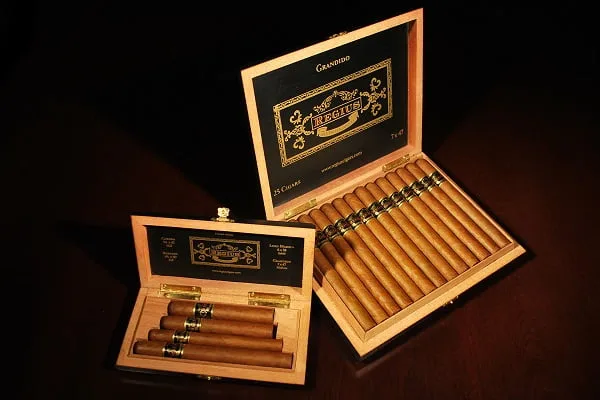 Regius Double Corona Cigar Regius Double Corona Cigar