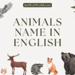 20+ Animals Name in English With Pictures