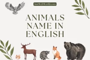 Animals Name in English