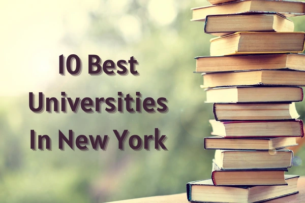 Best Universities In New York