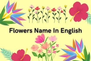 List of A Flowers Name in English
