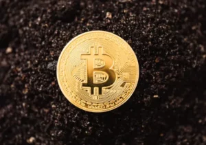 Governments to Legalize Bitcoin