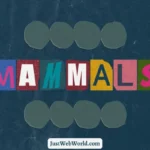 20+ Mammals Name in English with Pictures