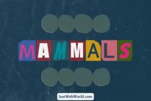 Mammals Name in English