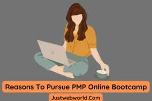 Pursue PMP Online Bootcamp