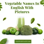 20+ Vegetable Names In English With Pictures