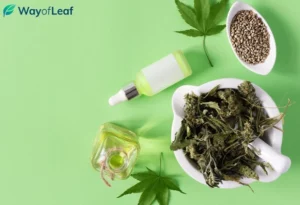 Is CBD Good for Viral Infections