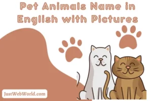 Pet Animals Name in English