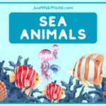 20+ Water, Sea and Ocean Animals