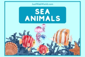Sea and Ocean Animals