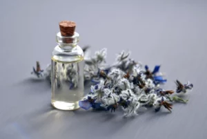 Universe of smells
