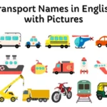 Transport Names in English with Pictures