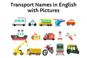 Transport Names List