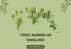 Tree Names in English