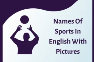 Types of Sports Games in English