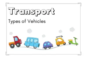 Types of Vehicles Names