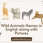 20+ Wild Animals Name in English with Pictures