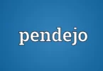 What is another word for pendejo