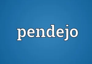 What is another word for pendejo