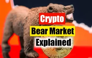 Crypto Bear Market