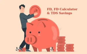 Everything About FD