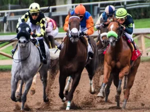 Horse Racing