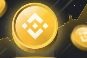 Binance Coin (BNB)