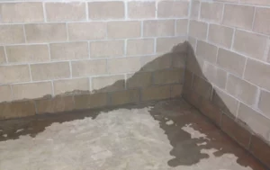 Wet Basement Waterproofing Toronto