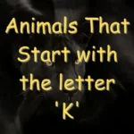 Animals That Start With K (Photos & Interesting Facts)