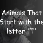 Animals That Start With T (Photos & Interesting Facts)