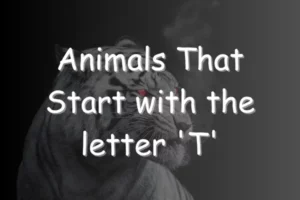 Animals That Start With T