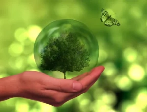 Sustainability Report