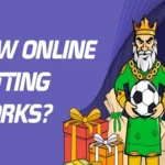 How Does the Online Betting System Work?