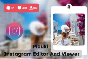 Picuki - Anonymous Instagram Viewer