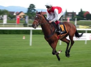 Cheltenham Festival Tips