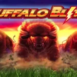 Is It Time To Roam The Buffalo Blitz Reels?