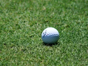 How Fans Engage With Golf
