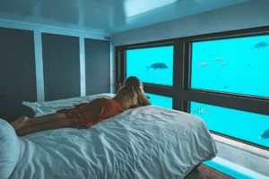 Underwater Submarine Hotel For Billionaires