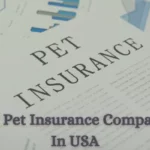 Top 10 Best Pet Insurance Companies In USA