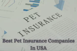 Pet Insurance Companies In USA