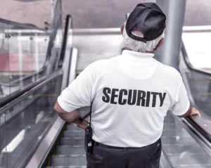 Diverse Landscape of Security Guarding Services