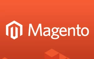 The Future of Magento: E-commerce Platform
