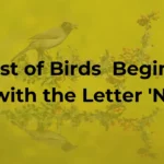 Birds That Start With N