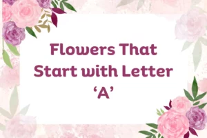 Flowers That Start with A
