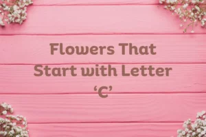 Flowers That Start with C