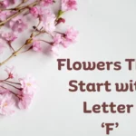 Flowers That Start With F