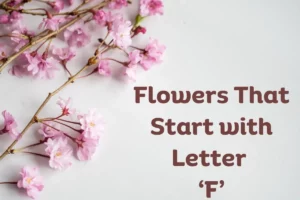 Flowers That Start With F